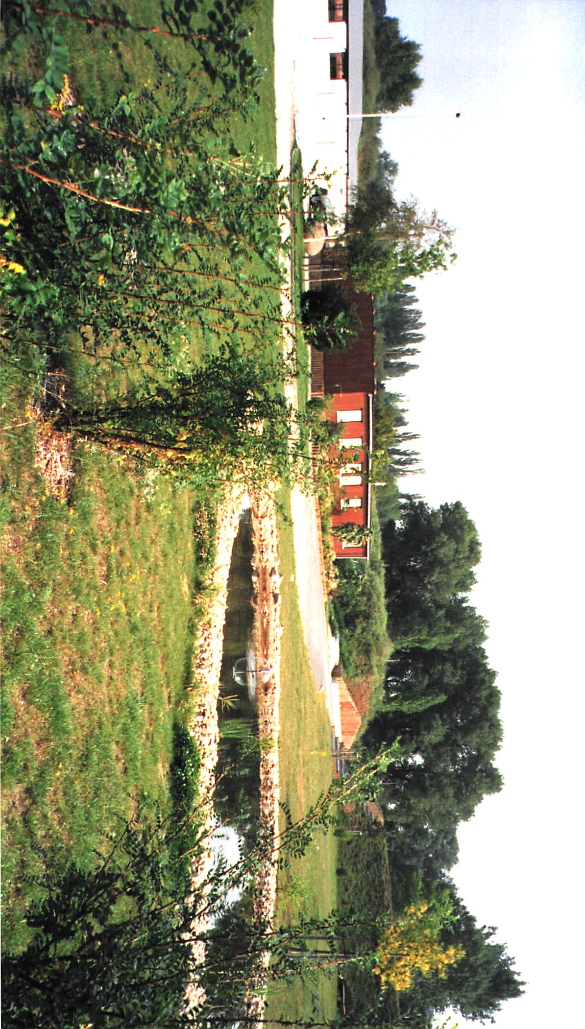 Vereinsbilder 1998