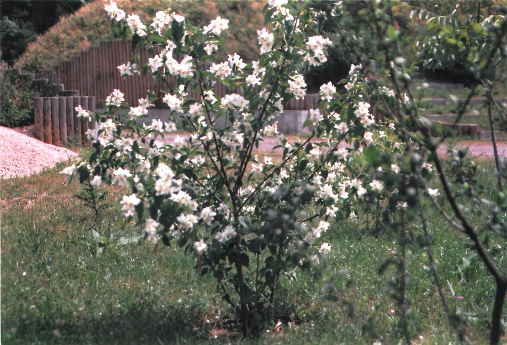 Vereinsbilder 2001